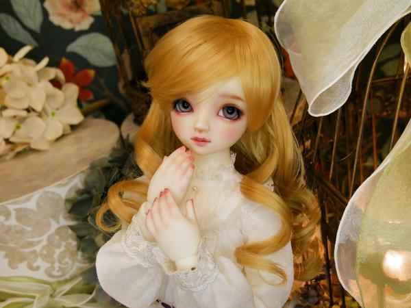 期間限定 特別フルチョイスご紹介③ ～SD-F-75編～ | 天使のすみか